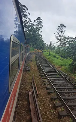 Sri Lanka tour